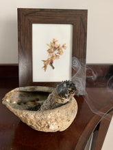 Load image into Gallery viewer, Yani soul White Sage kit